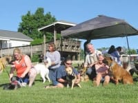 Tripawds at Greyhounds Rock Party