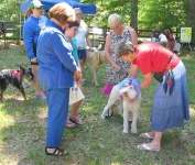 Helping Hands Chili Dog