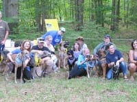 Greyhounds Rock Tripawds Fredericksburg VA
