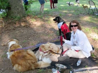 Greyhounds Rock Tri-Pawty Fredericksburg VA