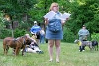 Greyhounds Rock Kim Fredericksburg VA