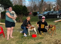 Three-legged dogs Play at a Tripawds Party