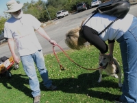 SoCal Tripawds Pawty