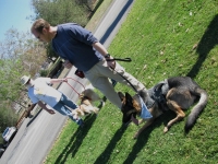 SoCal Tripawds Pawty