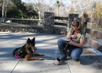 SoCal Tripawds Pawty