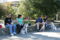 SoCal Tripawds Pawty