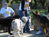 SoCal Tripawds Pawty