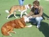 Bernie, Diane, Buddy