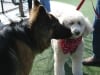 Hannah and Rusty