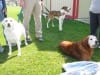Linda, Bernie and Buddy