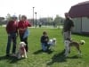 Celebrating Tripawds